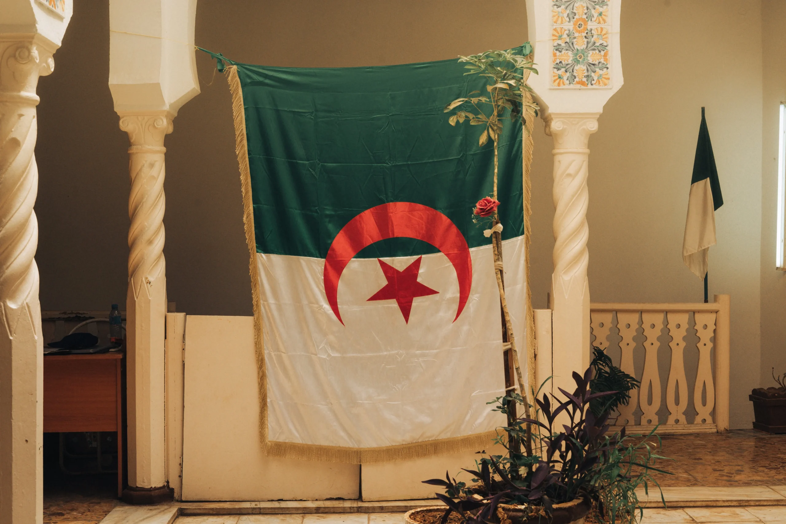 an image showing the flag of algeria